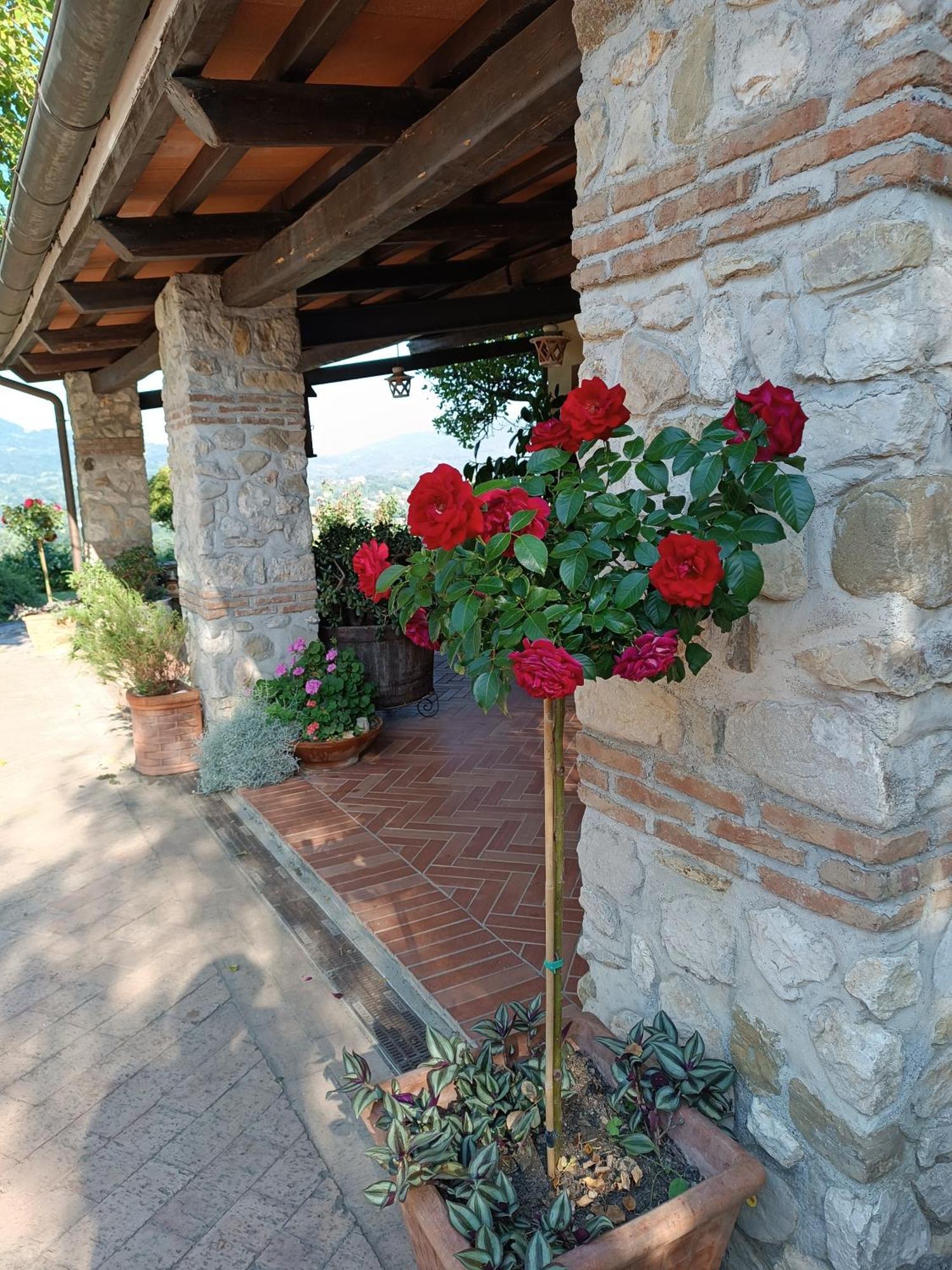 Santa Lucia B&B Caiazzo Buitenkant foto